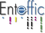 Enteffic: Portfolio, Programme, Project and Product Management support for information technology, digital technology and technology operations.